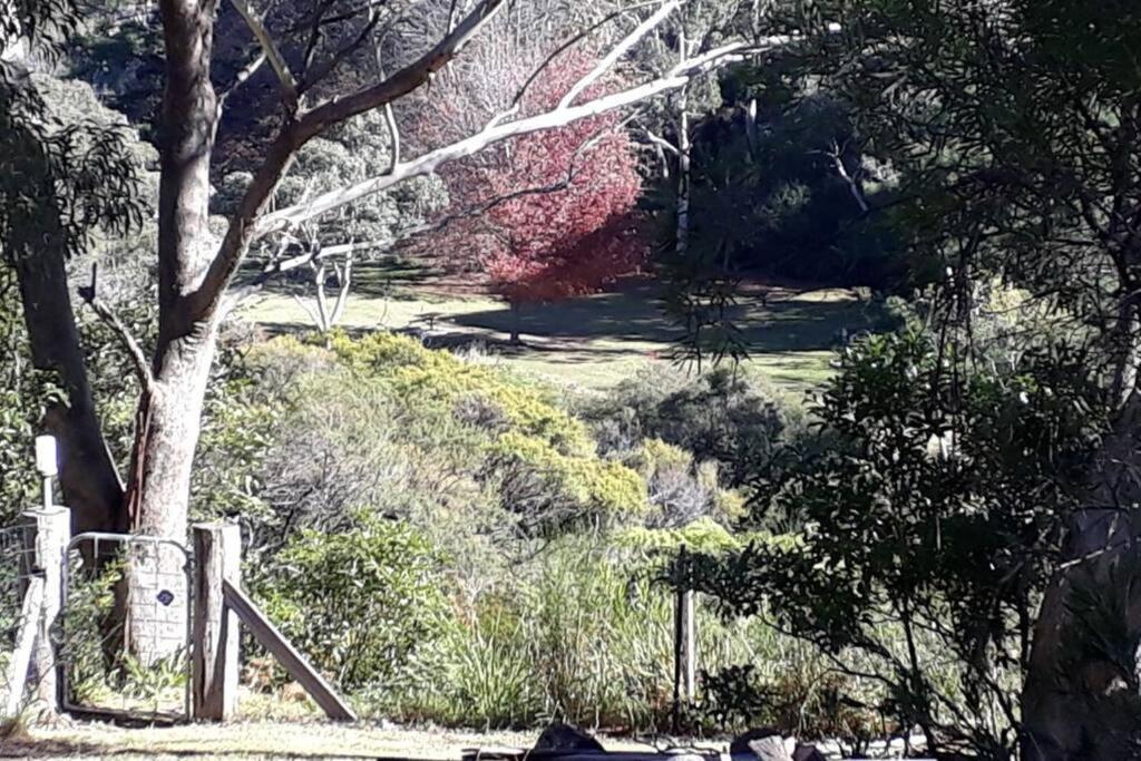 Katoomba Falls Cottage 外观 照片